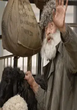 Чёрный баран (2009) скачать торрент файл Чёрный баран (2009) фильм скачать торрент файл