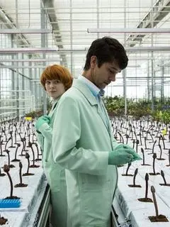 Малыш Джо / Little Joe (2019) фильм скачать через торрет бесплатно в хорошем качестве