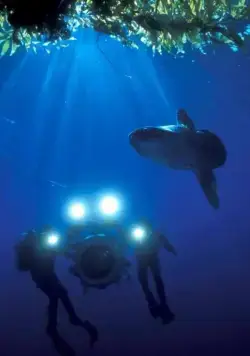 Тайны подводного мира 3D (2006) скачать торрент файл Тайны подводного мира 3D (2006) фильм скачать торрент файл