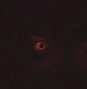 30 дней до рассвета (2006) в хорошем качестве скачать торрент файл 30 дней до рассвета (2006) фильм в хорошем качестве скачать торрент файл