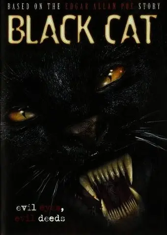 Черная кошка / Black Cat (2004) фильм скачать через торрет бесплатно в хорошем качестве