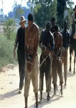 Шадрак (1998) в хорошем качестве скачать торрент файл Шадрак (1998) фильм в хорошем качестве скачать торрент файл