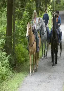 Жестокие люди (2005) скачать торрент бесплатно Жестокие люди (2005) фильм скачать торрент бесплатно