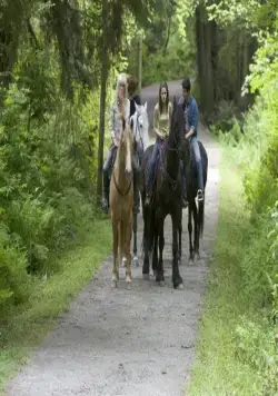 Жестокие люди (2005) скачать торрент файл Жестокие люди (2005) фильм скачать торрент файл