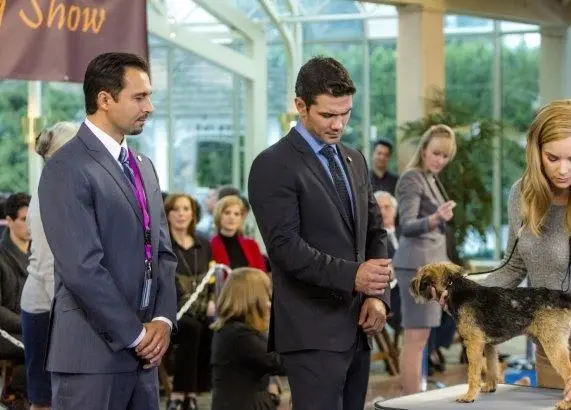 Гордость и предубеждение и собаки (2016) в хорошем качестве скачать торрент файл Гордость и предубеждение и собаки (2016) фильм в хорошем качестве скачать торрент файл