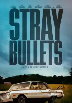 Шальные пули / Stray Bullets (2016) фильм скачать через торрет бесплатно в хорошем качестве