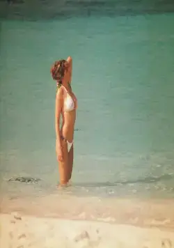 Остров на троих (2005) в хорошем качестве скачать торрент файл Остров на троих (2005) фильм в хорошем качестве скачать торрент файл