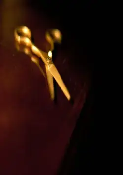 Золотые ножницы (2012) в хорошем качестве скачать торрент файл Золотые ножницы (2012) фильм в хорошем качестве скачать торрент файл