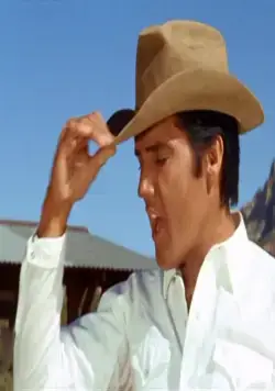 Держись подальше, Джо (1968) скачать торрент бесплатно Держись подальше, Джо (1968) фильм скачать торрент бесплатно