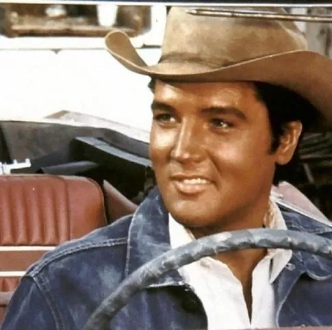 Держись подальше, Джо (1968) в хорошем качестве скачать торрент файл Держись подальше, Джо (1968) фильм в хорошем качестве скачать торрент файл