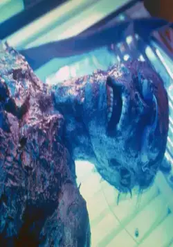 Городские легенды 3: Кровавая Мэри (2005) в хорошем качестве скачать торрент файл Городские легенды 3: Кровавая Мэри (2005) фильм в хорошем качестве скачать торрент файл