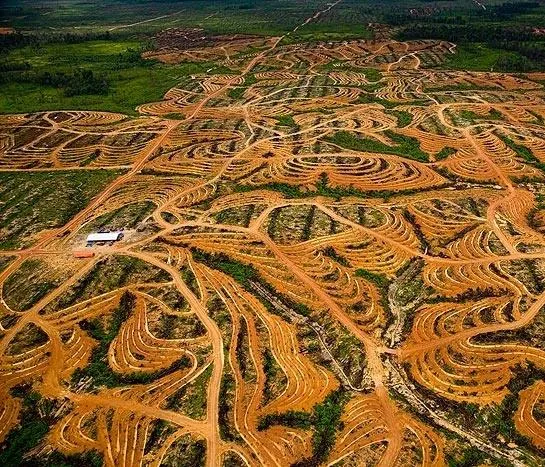 Дом. История путешествия (2009) скачать торрент бесплатно Дом. История путешествия (2009) фильм скачать торрент бесплатно