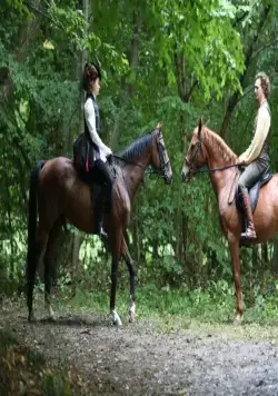 Кинчем - мое сокровище (2017) скачать торрент файл Кинчем - мое сокровище (2017) фильм скачать торрент файл