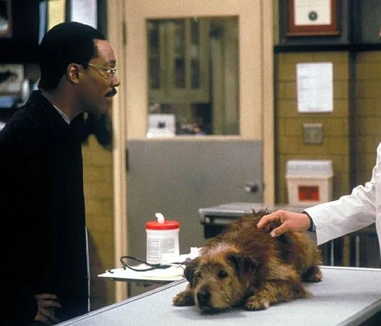 Доктор Дулиттл (1998) в хорошем качестве скачать торрент файл Доктор Дулиттл (1998) фильм в хорошем качестве скачать торрент файл