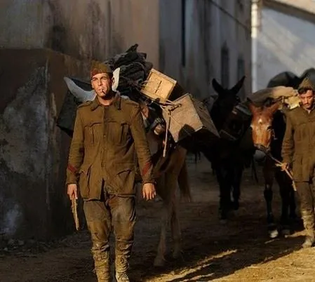 Мул (2013) скачать торрент бесплатно Мул (2013) фильм скачать торрент бесплатно