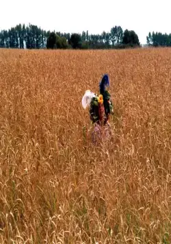 Кострома (2002) скачать торрент файл Кострома (2002) фильм скачать торрент файл