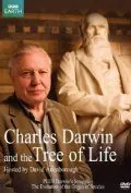 Чарльз Дарвин и Древо жизни / Charles Darwin and the Tree of Life (2009) фильм скачать через торрет бесплатно в хорошем качестве