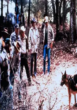 Огонь в небе (1993) скачать торрент бесплатно Огонь в небе (1993) фильм скачать торрент бесплатно