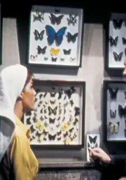 Коллекционер (1965) скачать торрент бесплатно Коллекционер (1965) фильм скачать торрент бесплатно