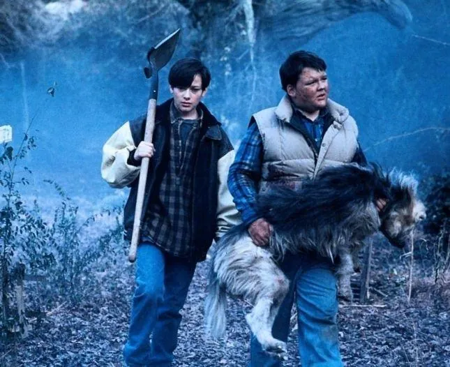 Кладбище домашних животных 2 (1992) скачать торрент бесплатно Кладбище домашних животных 2 (1992) фильм скачать торрент бесплатно