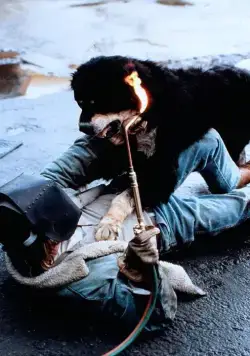 Лучший друг человека (1993) скачать торрент бесплатно Лучший друг человека (1993) фильм скачать торрент бесплатно