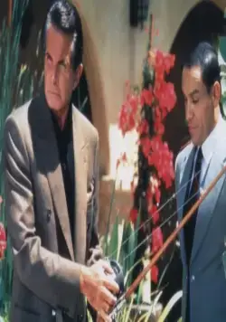 8 голов в одной сумке (1997) в хорошем качестве скачать торрент файл 8 голов в одной сумке (1997) фильм в хорошем качестве скачать торрент файл