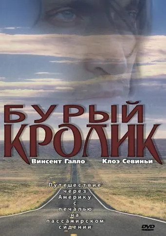 Бурый кролик / The Brown Bunny (2003) фильм скачать через торрет бесплатно в хорошем качестве