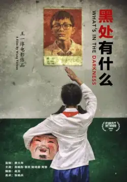 Что скрывает тьма / Hei chu you she me (2015) фильм скачать через торрет бесплатно в хорошем качестве