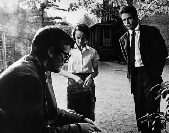 Лилит (1964) скачать торрент бесплатно Лилит (1964) фильм скачать торрент бесплатно