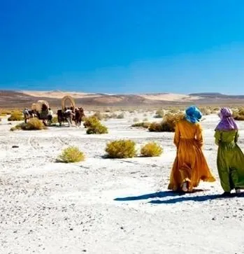 Обход Мика (2010) скачать торрент файл Обход Мика (2010) фильм скачать торрент файл