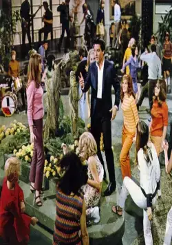 Выходные в Калифорнии (1966) скачать торрент файл Выходные в Калифорнии (1966) фильм скачать торрент файл