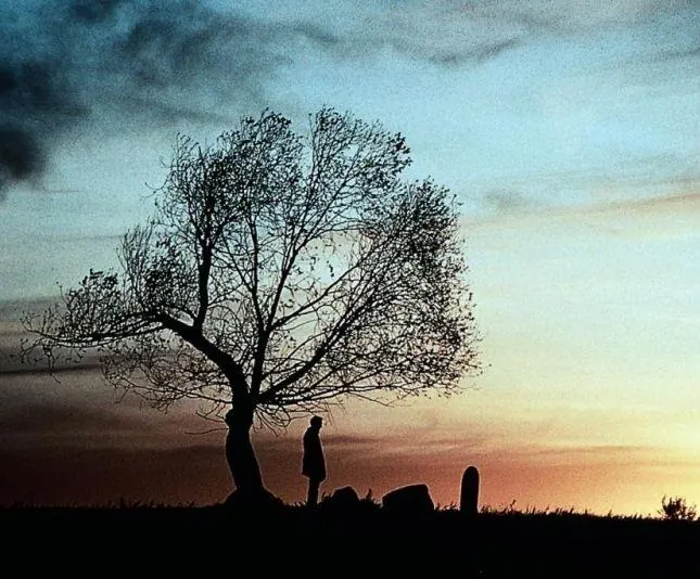 Непрощенный (1992) скачать торрент файл Непрощенный (1992) фильм скачать торрент файл