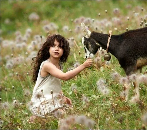 Хайди (2015) скачать торрент бесплатно Хайди (2015) фильм скачать торрент бесплатно