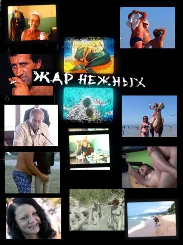 Дикий, дикий пляж. Жар нежных / Zhar nezhnykh. Dikiy, dikiy plyazh (2005) cериал скачать через торрет бесплатно в хорошем качестве