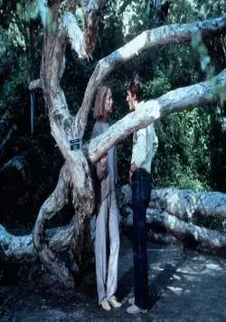 Американский жиголо (1980) в хорошем качестве скачать торрент файл Американский жиголо (1980) фильм в хорошем качестве скачать торрент файл