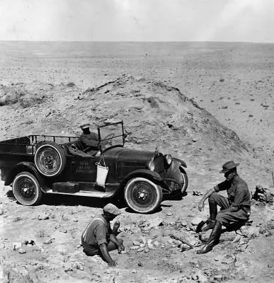 Динозавры живы! 3D (2007) скачать торрент файл Динозавры живы! 3D (2007) фильм скачать торрент файл