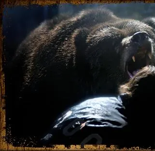 Гризли Парк (2007) скачать торрент файл Гризли Парк (2007) фильм скачать торрент файл