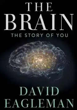 Мозг с Дэвидом Иглменом / The Brain with Dr. David Eagleman (2015) cериал скачать через торрет бесплатно в хорошем качестве
