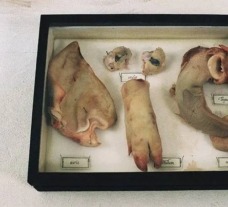 Безумие (2005) в хорошем качестве скачать торрент файл Безумие (2005) фильм в хорошем качестве скачать торрент файл