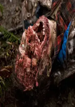 Гризли (2015) скачать торрент файл Гризли (2015) фильм скачать торрент файл