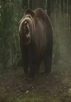 Гризли (2015) скачать торрент бесплатно Гризли (2015) фильм скачать торрент бесплатно