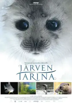 Сказка озера / Järven tarina (2016) фильм скачать через торрет бесплатно в хорошем качестве
