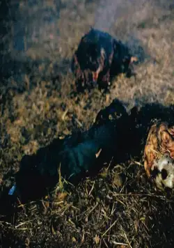 Джейсон отправляется в ад: Последняя пятница (1993) скачать торрент бесплатно Джейсон отправляется в ад: Последняя пятница (1993) фильм скачать торрент бесплатно