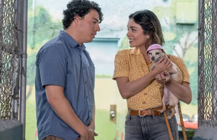 Собачьи дни (2018) скачать торрент бесплатно Собачьи дни (2018) фильм скачать торрент бесплатно