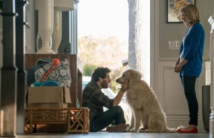 Собачьи дни (2018) в хорошем качестве скачать торрент файл Собачьи дни (2018) фильм в хорошем качестве скачать торрент файл