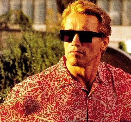 Близнецы (1988) скачать торрент файл Близнецы (1988) фильм скачать торрент файл