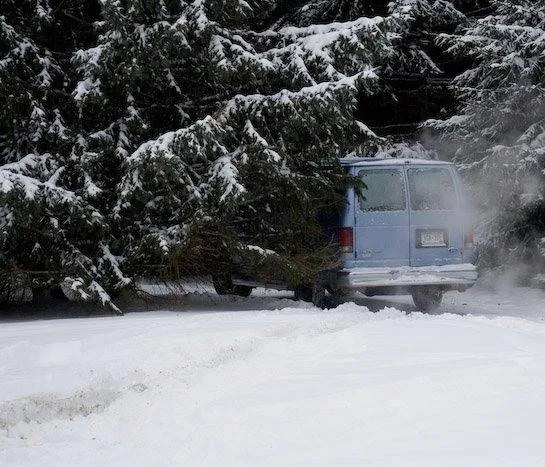 Ясное озеро (2009) скачать торрент бесплатно Ясное озеро (2009) фильм скачать торрент бесплатно