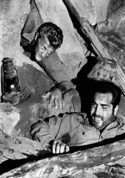 Туз в рукаве (1951) скачать торрент файл Туз в рукаве (1951) фильм скачать торрент файл