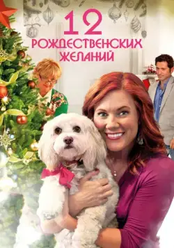 12 Рождественских желаний / The Twelve Wishes of Christmas (2011) фильм скачать через торрет бесплатно в хорошем качестве