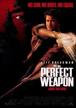 Совершенное оружие / The Perfect Weapon (1991) фильм скачать через торрет бесплатно в хорошем качестве